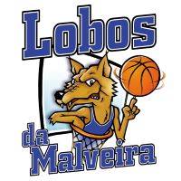 Logo REV Consultants / Lobos