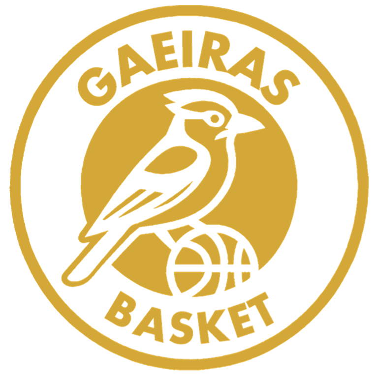 AMA BASKET - Associação Amigos do Basquetebol