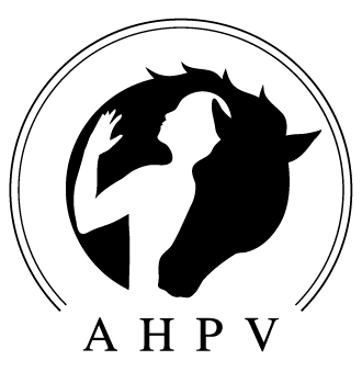 Associaçâo Hípica e Psicomotora De Viseu
