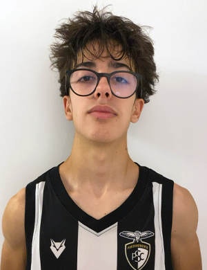 Dinis Ribeiro
