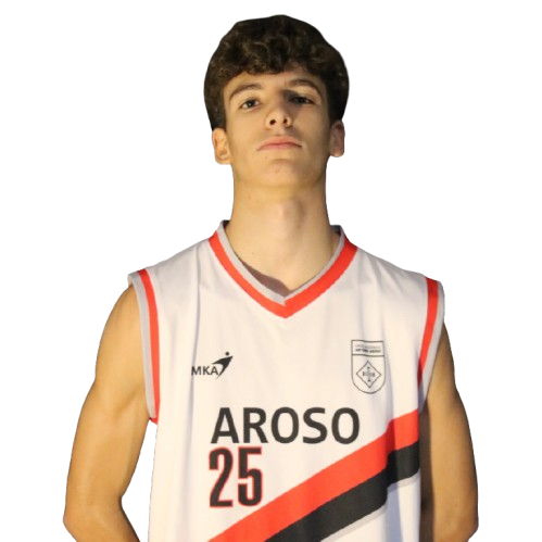Miguel Perfeito
