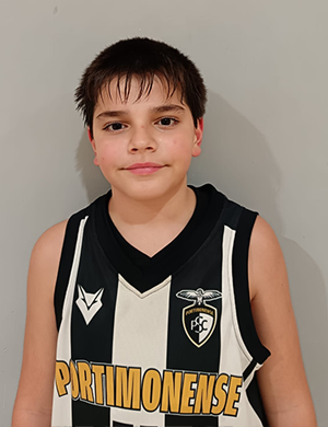Dinis Costa