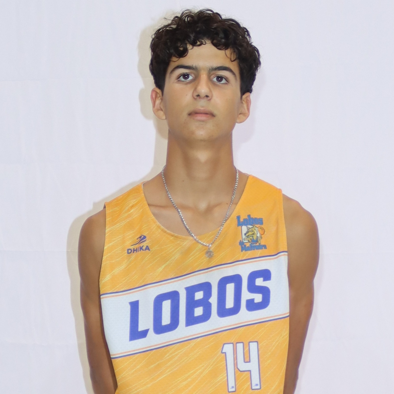 Dinis Vitorino