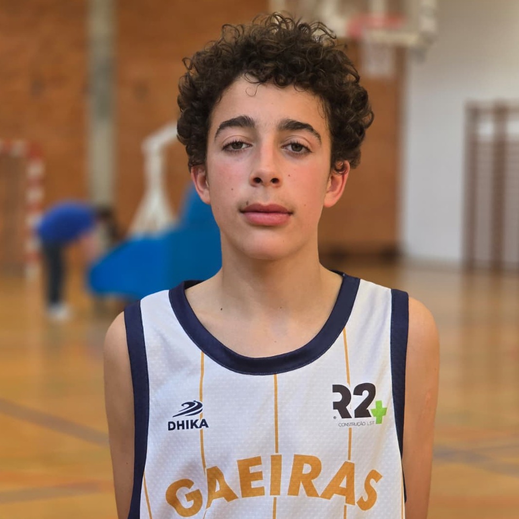 Afonso Henriques