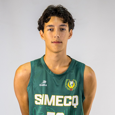 Afonso Rodrigues