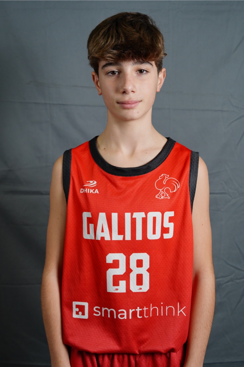 Gonçalo Silva