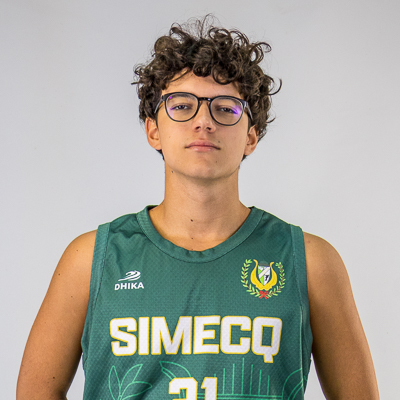 Martim Araújo
