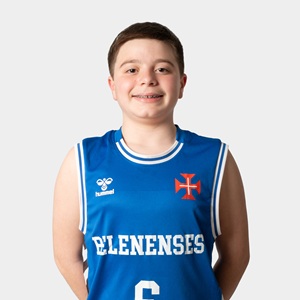 Afonso Guerreiro