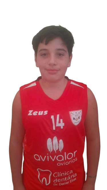 Afonso Martins