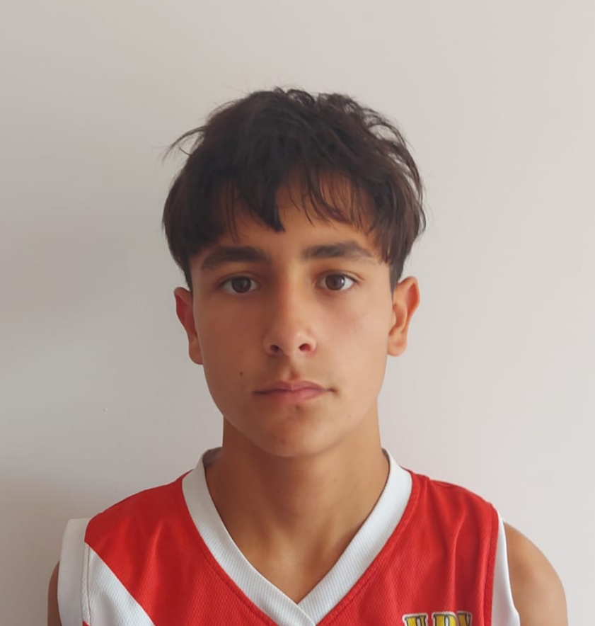 Dinis Azevedo