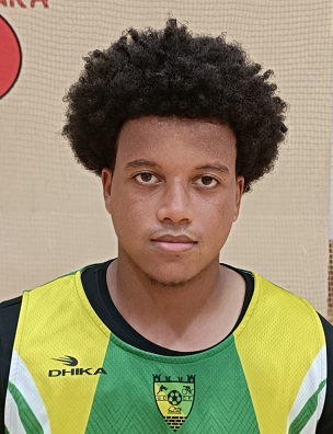 Perfil Jogador